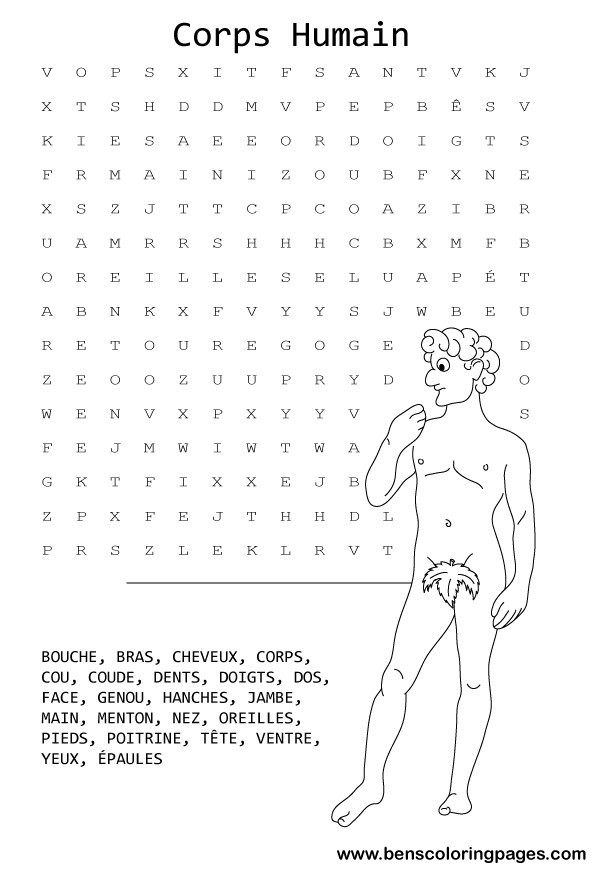 human body kids