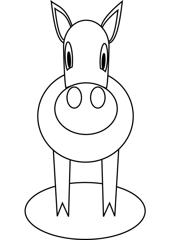 download free baby horse drawing page