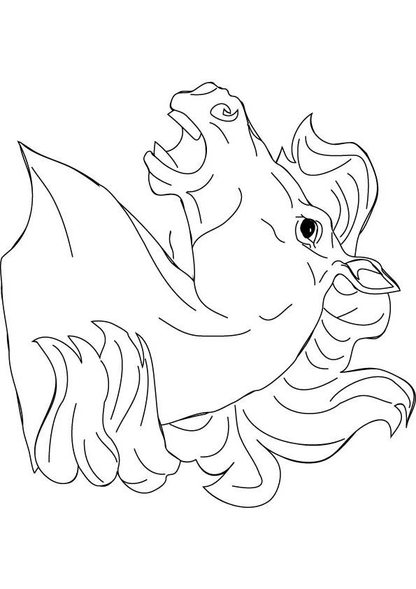 download free horse head drawing page