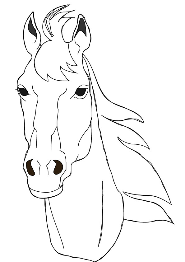 download free horse face drawing page