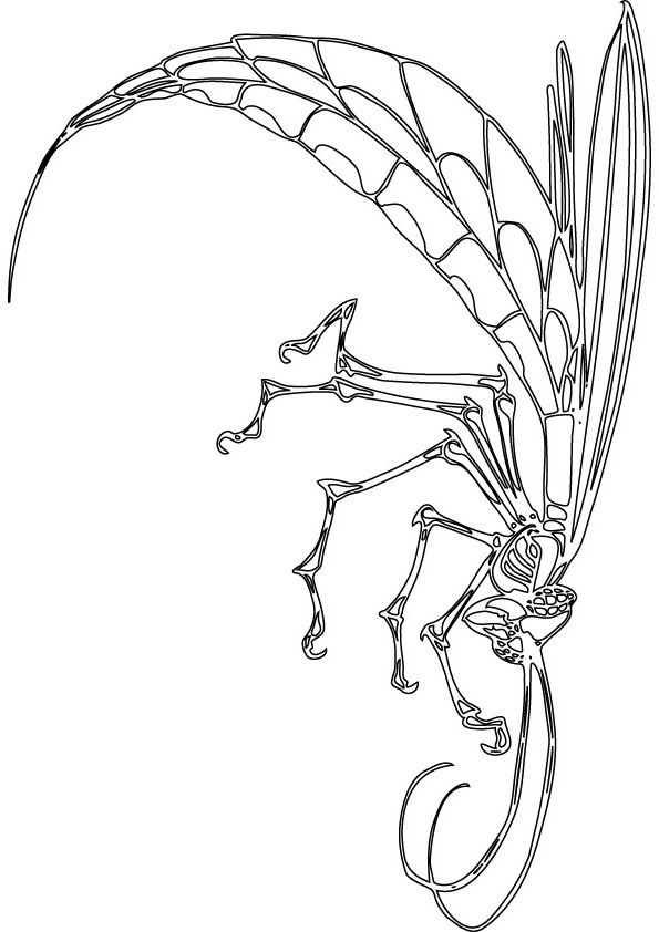download free dragon fly drawing