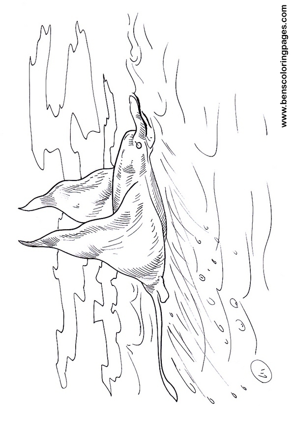 mantaray coloring picture to print