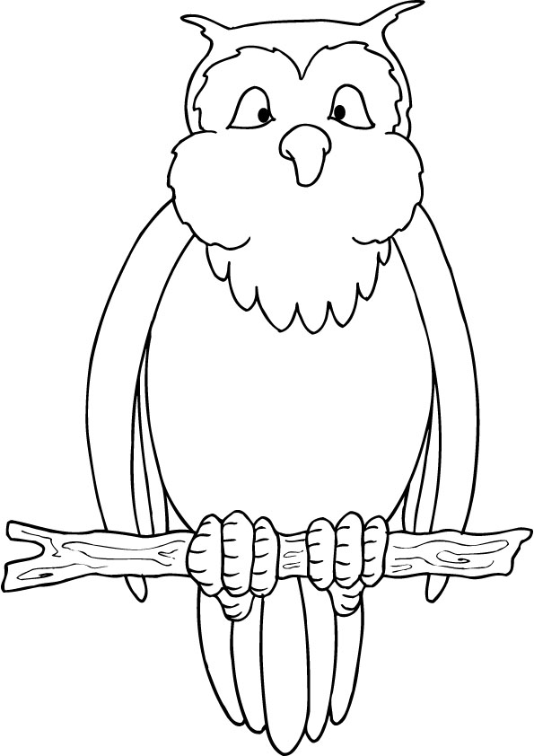 Owl printable coloring page
