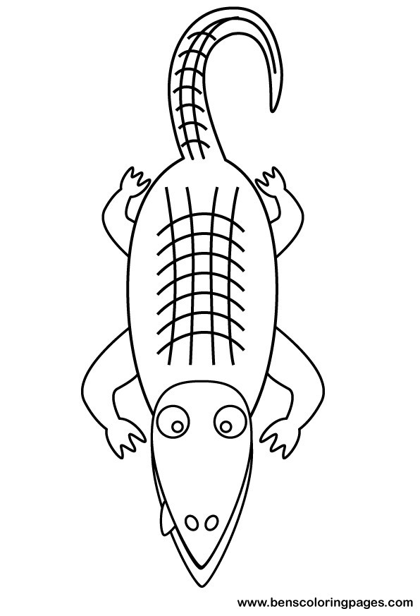 printable crocodile pictures