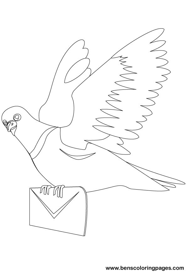 messenger pigeon