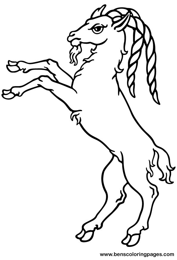 bighorn pictures