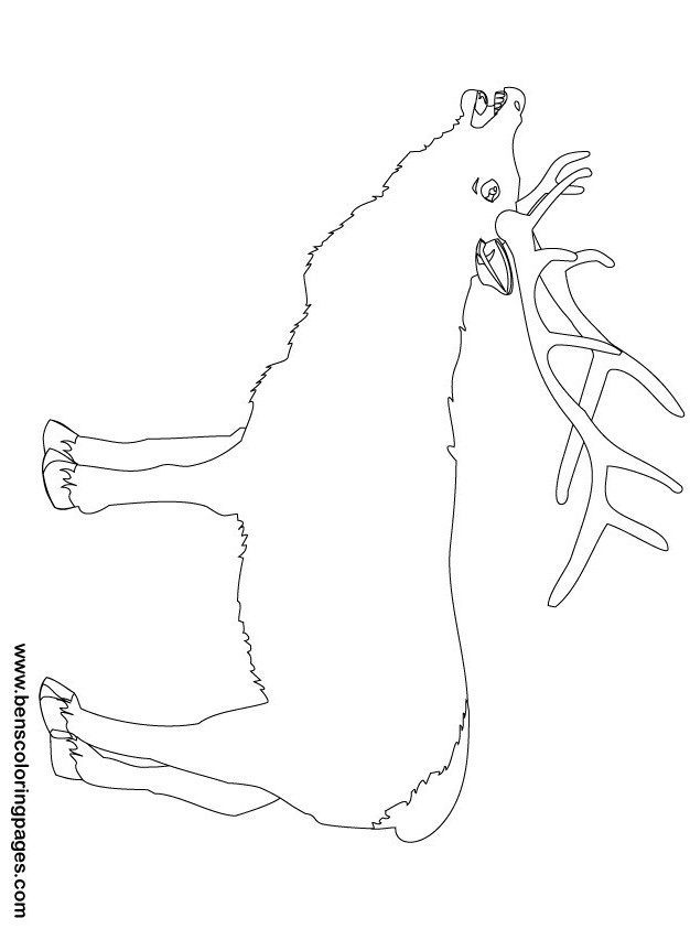 reindeer coloring