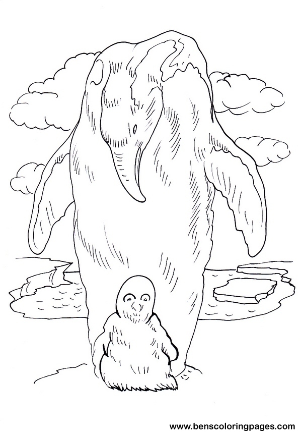 penguin coloring pic