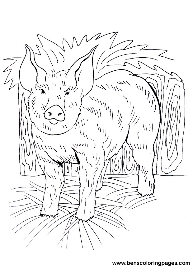 free pigglet image