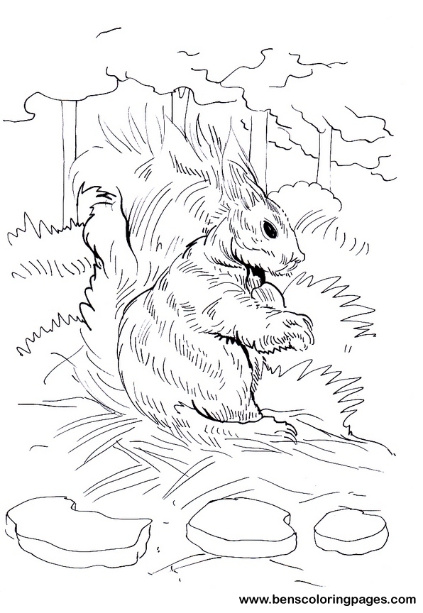 rabbit coloring picture