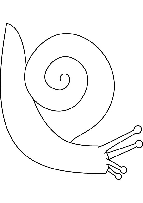 snail coloring page