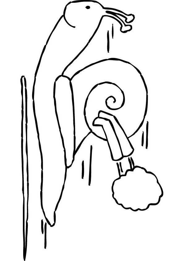 Turbo snail coloring page