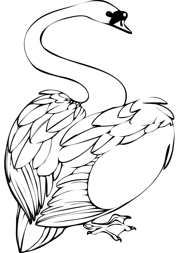 Swan coloring page