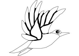 humming bird drawing book