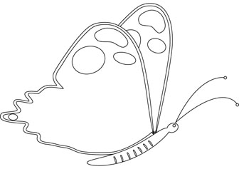 butterfly drawing books