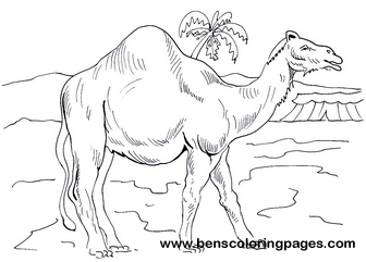 camel pictures to color
