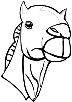 camel drawing books