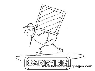 carrying flashcard