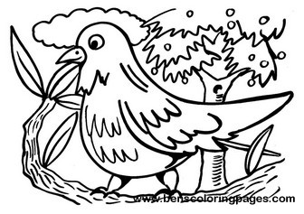 Cartoon bird coloring page