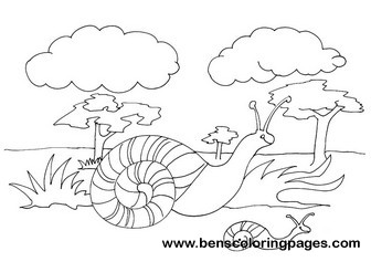 Snails childrens coloring page