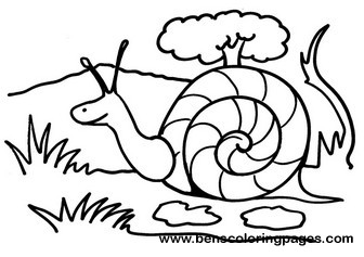 Snail coloring sheet
