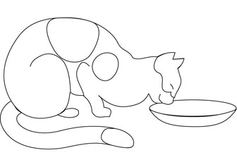 cat drinking drawing books