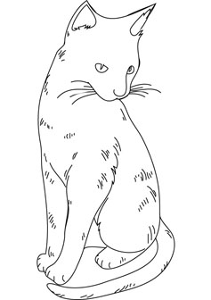 free cat drawing page