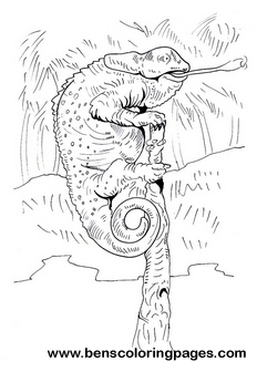 chameleon printable coloring pages