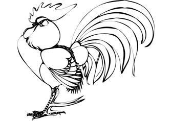 cock drawing page