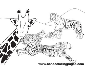 bible animals creation