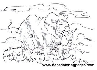 elephant coloring for kids