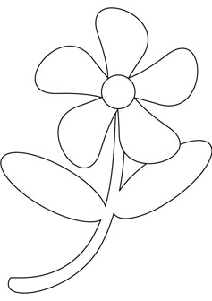 flower drawing book