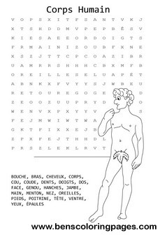 the human body