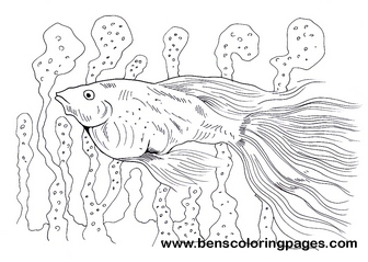 guppy fish coloring for kids