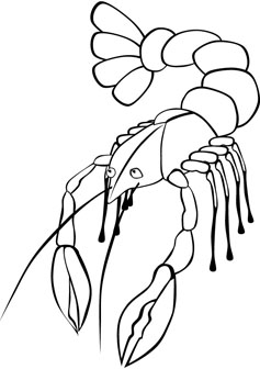 Lobster drawing picture