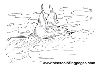 mantaray printable coloring pages