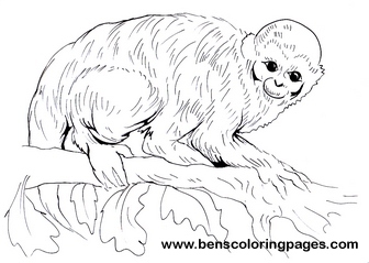 mono coloring picture
