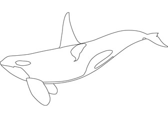 Orca printable