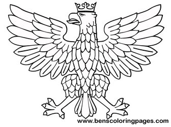 eagle pictures for kids