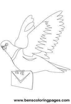 carrier pigeon
