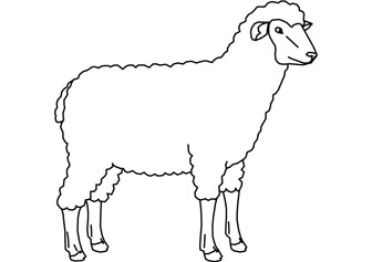 sheep color page