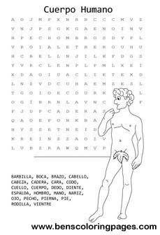 the human body
