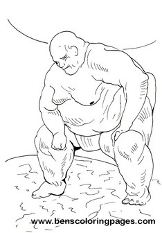 sumo printout
