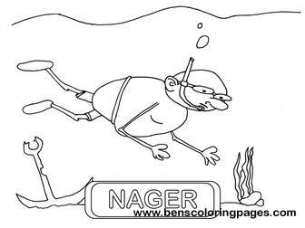 nager educational flashcard