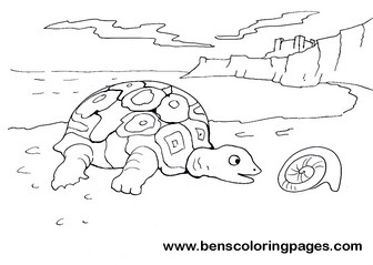 tortoise print out
