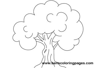 Oak tree coloring picture