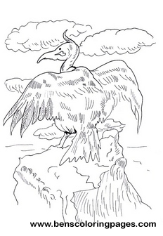 vulture page to color