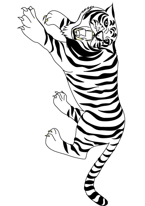 crouch tiger colouring picture