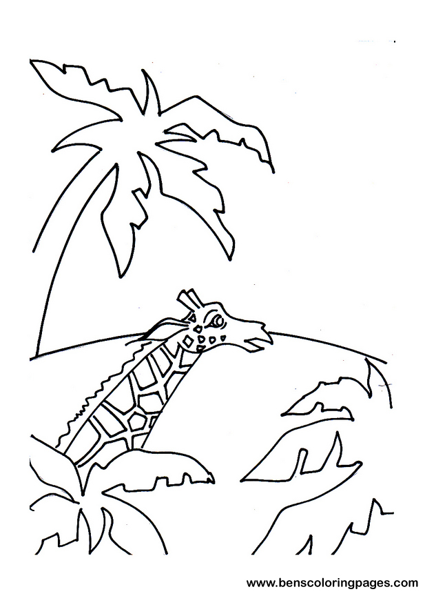 baby giraffe looking for mum coloring page