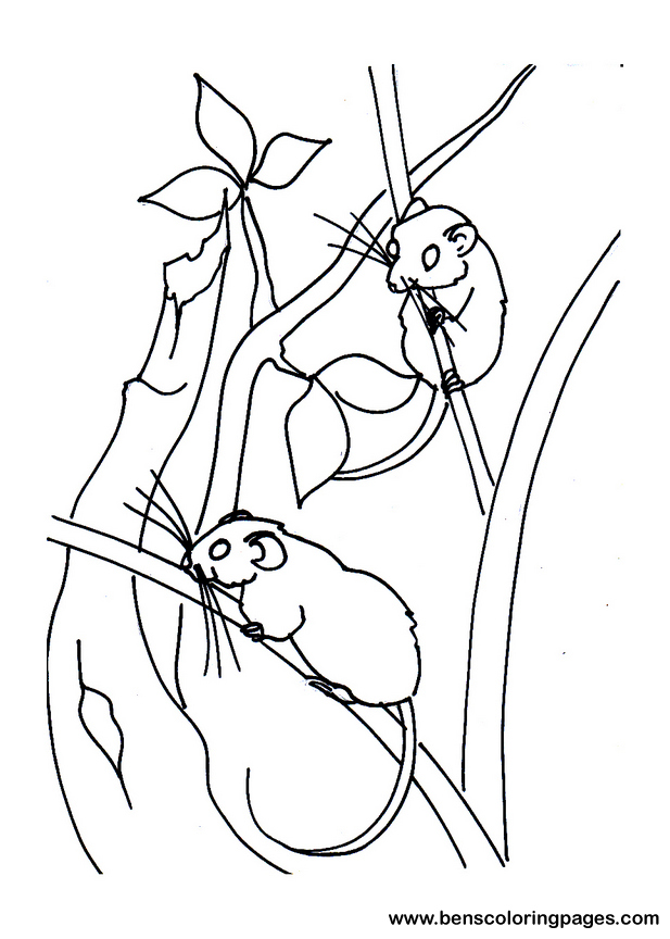 two little mice coloring page